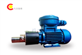 WXF不锈钢齿轮泵-微型不锈钢齿轮泵-微型齿轮泵